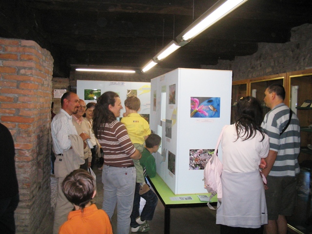 La mostra 